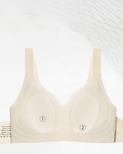 CloudComfort Seamless Wireless Everyday Bra | Padded Multi-Color Daily Wear T-Shirt Bra GS ICONIC